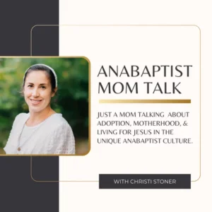 Book Cover: Anabaptist Mom Talk